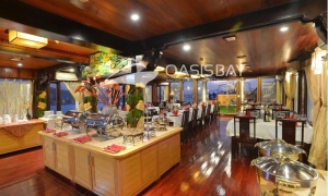 OASIS CRUISE
