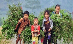 Sapa – Bac Ha 03 Days 04 Nights