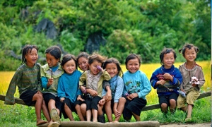 Sapa Medium Trekking 04 Nights 03 Days (By train)