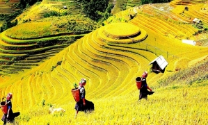 Sapa – Bac Ha 03 Days 04 Nights