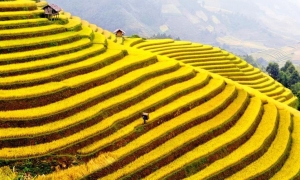 Sapa – Bac Ha 03 Days 04 Nights